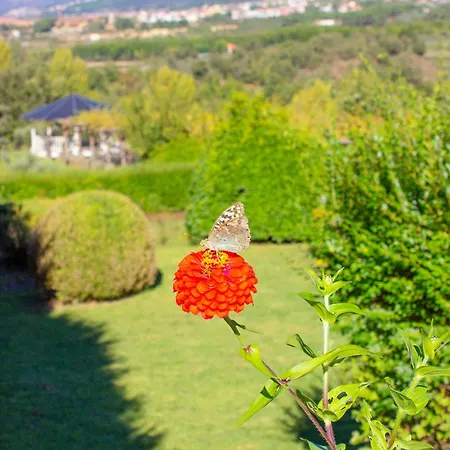 Rural Casa De Samaioes Hétvégi ház