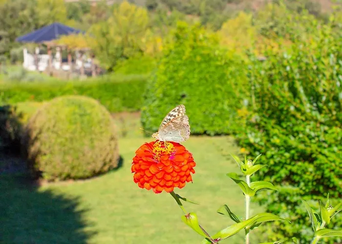 Rural Casa De Samaioes Séjour à la campagne
